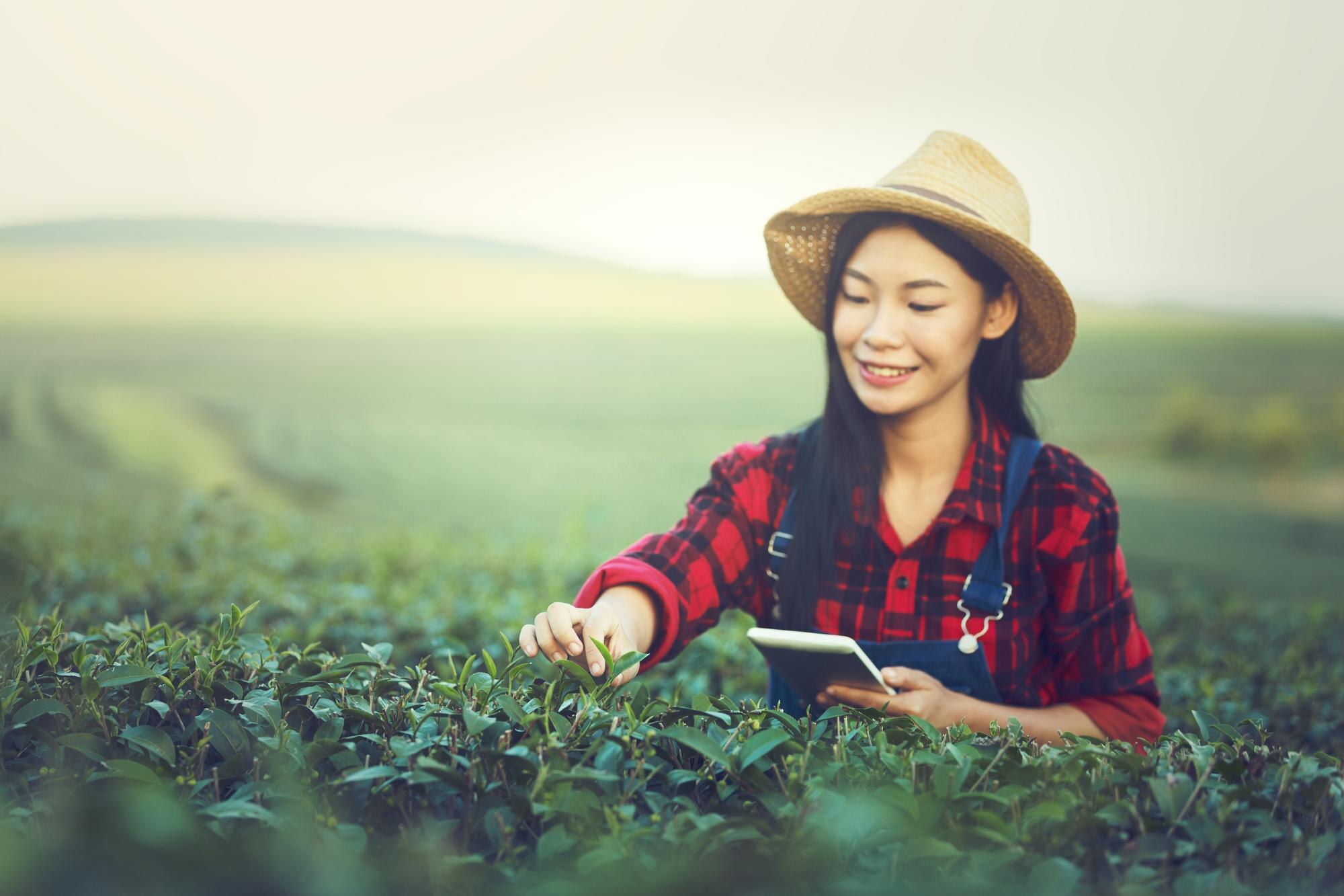 Best Practices for Managing Field Operations with Plantation ERP