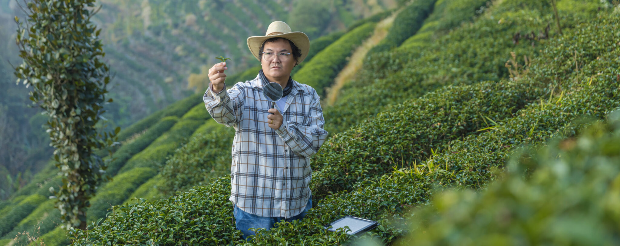 Unlocking the Potential: The Benefits of Specialized ERP Systems for ...